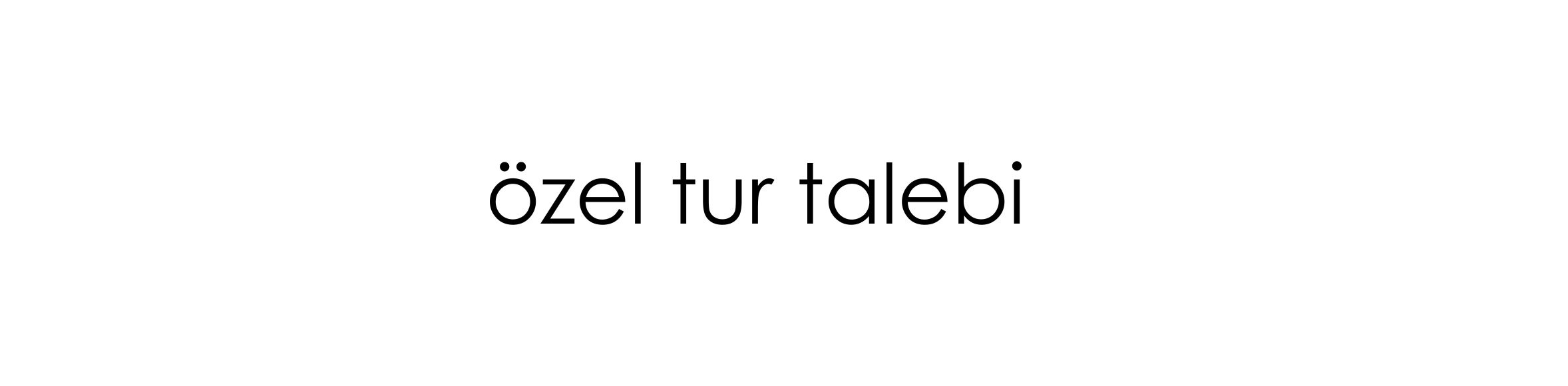 Özel Tur Talebi