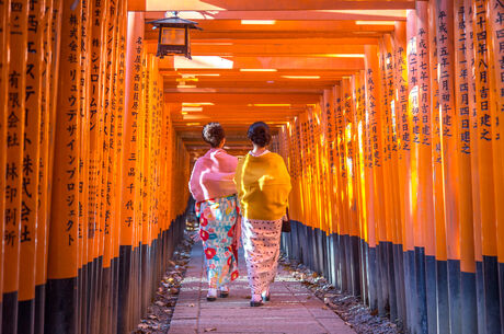 Japonya Turu (6 gece 7 Gün)